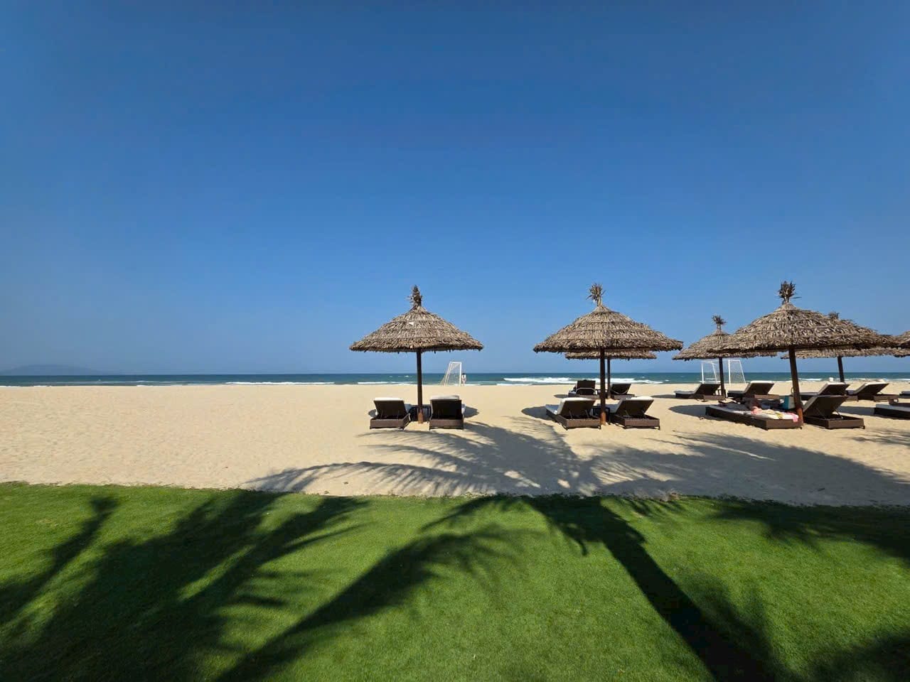 Bãi biển Arbora Đà Nẵng - bờ cát trắng biển xanh cọ dừa