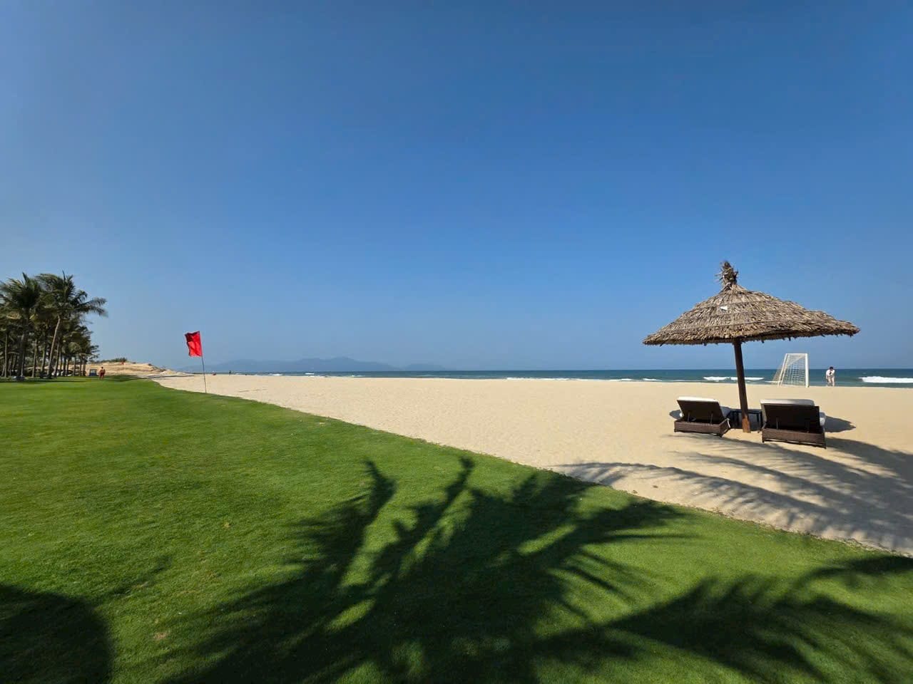 Sân vườn biệt thự Arbora thực tế - cỏ xanh hàng dừa hướng biển